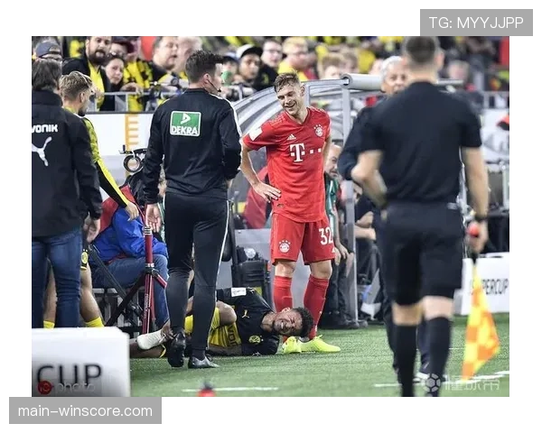 德甲裁判主管就上轮争议判罚进行视频解读